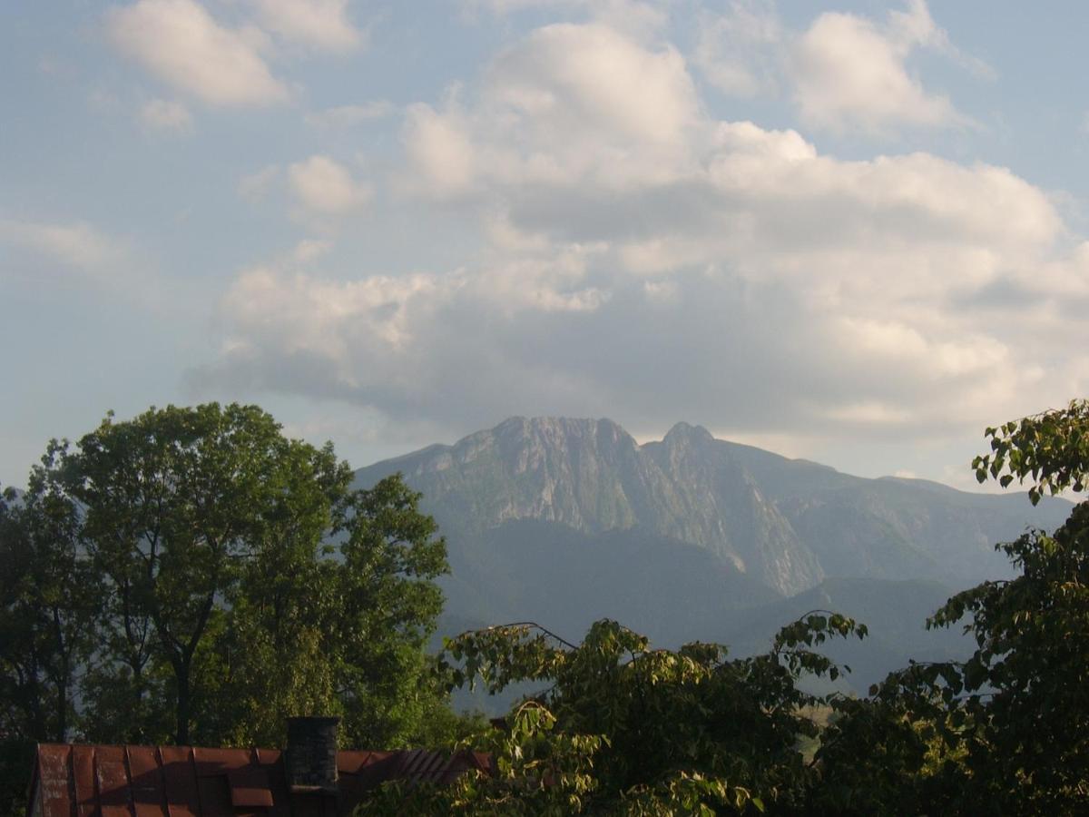 Willa U Kasi Zakopane Exterior photo